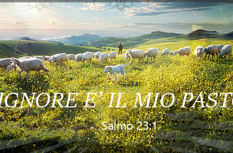 GEORGE MULLER: Salmo 23